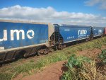 RUMO HTT-351354-8